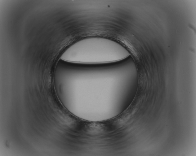 X0000092020261200709061336