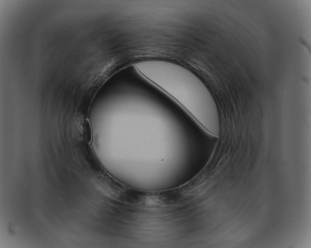 X0000092020264200709061336