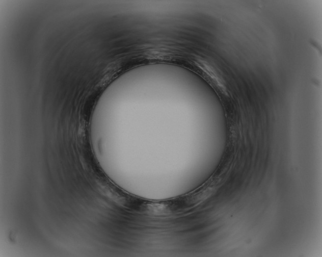 X0000092020265200709061336