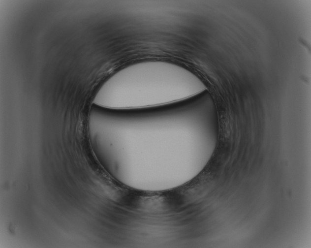 X0000092020266200709061336