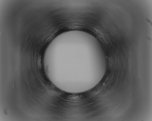 X0000092020267200709061336