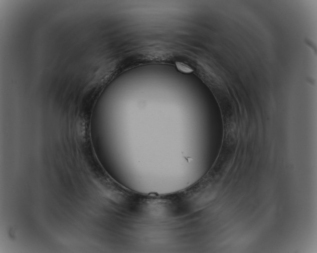 X0000092020268200709061336