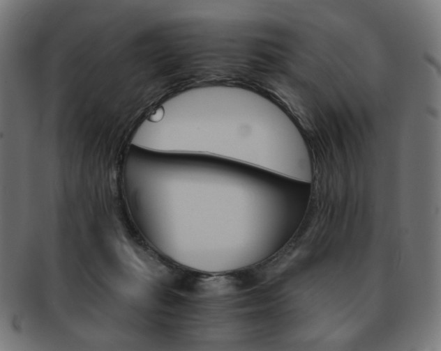 X0000092020269200709061336