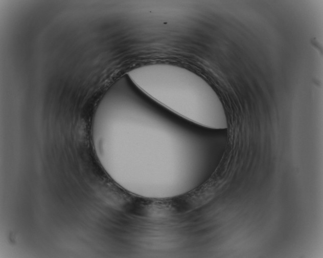 X0000092020270200709061336