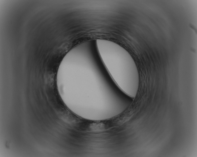 X0000092020271200709061336