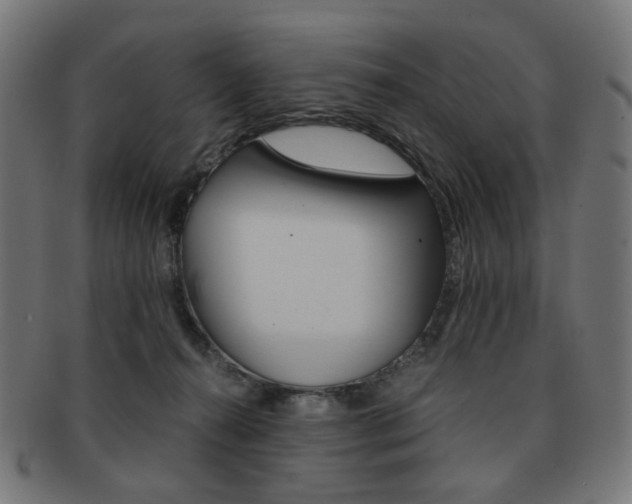 X0000092020272200709061336