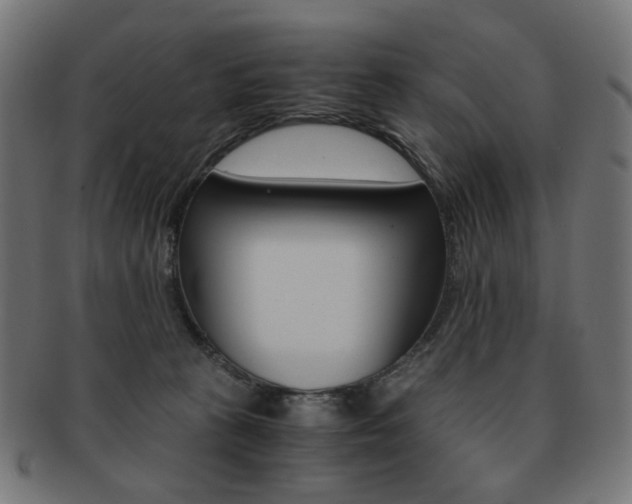 X0000092020273200709061336