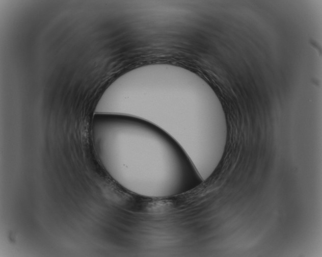 X0000092020274200709061336