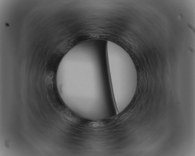 X0000092020275200709061336