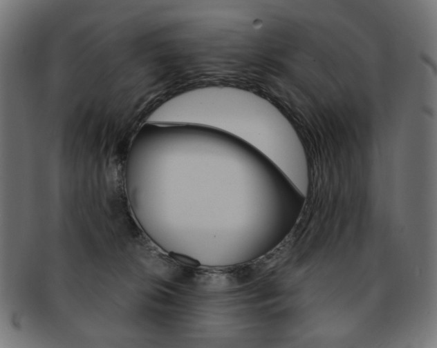 X0000092020276200709061336