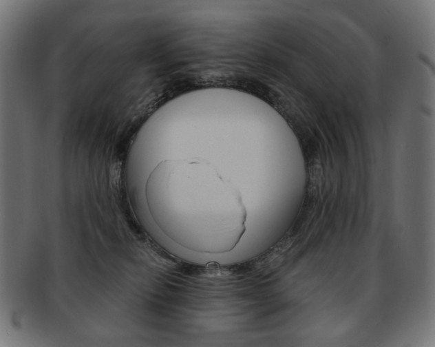 X0000092020278200709061336