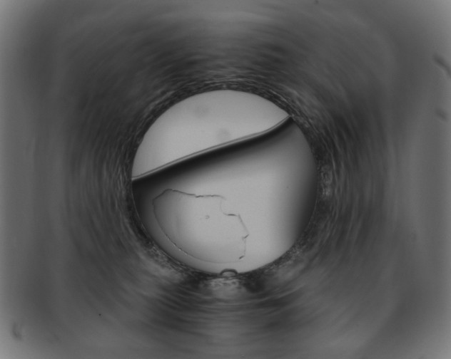 X0000092020279200709061336