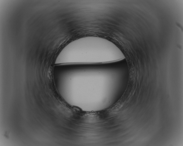 X0000092020280200709061336