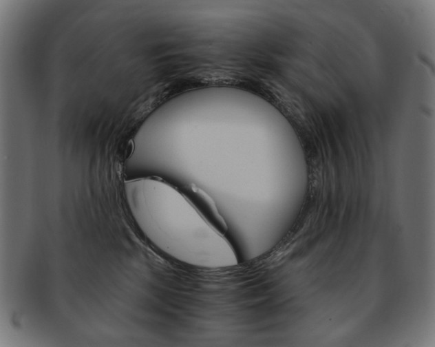 X0000092020281200709061336