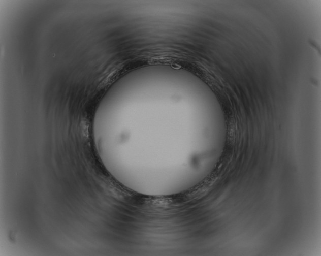 X0000092020282200709061336