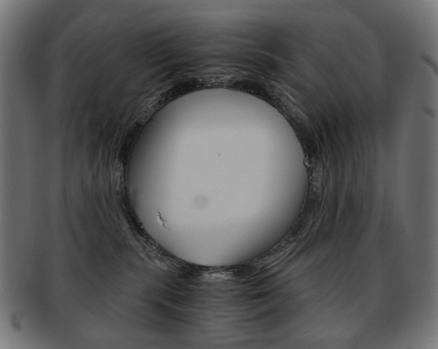 X0000092020283200709061336