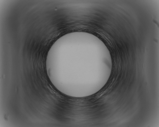 X0000092020284200709061336