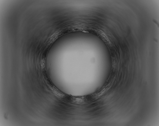 X0000092020285200709061336