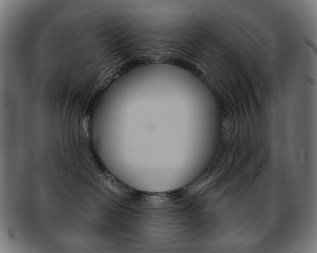 X0000092020286200709061336