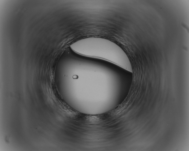 X0000092020287200709061336