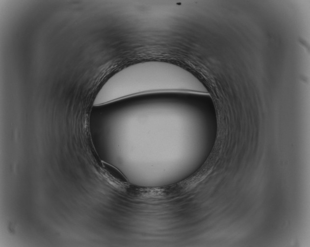 X0000092020288200709061336