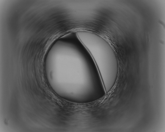 X0000092020289200709061335