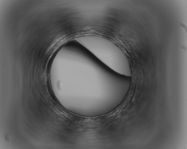 X0000092020290200709061335