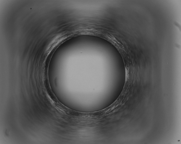 X0000092020291200709061335