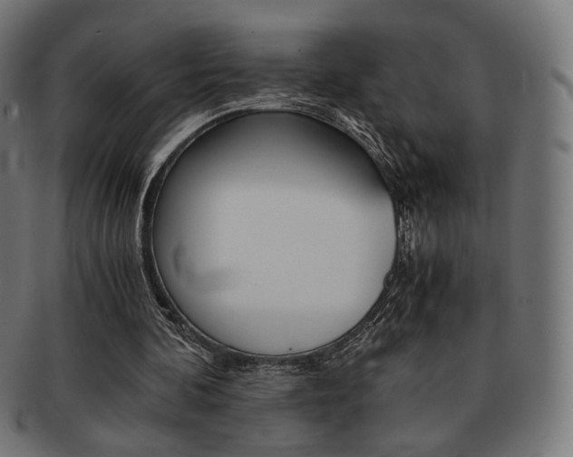 X0000092020292200709061335