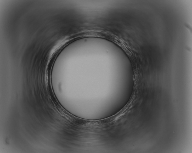 X0000092020294200709061335