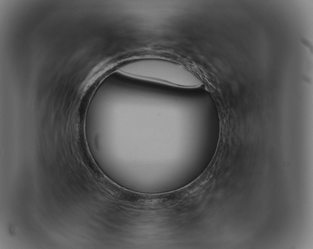 X0000092020295200709061335
