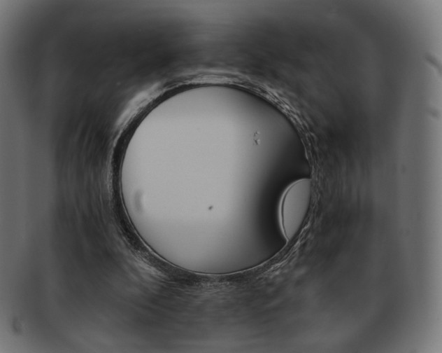 X0000092020296200709061335