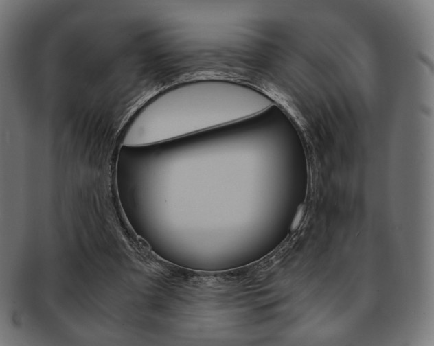 X0000092020297200709061335