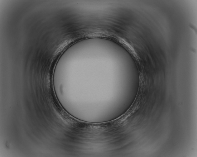 X0000092020298200709061335
