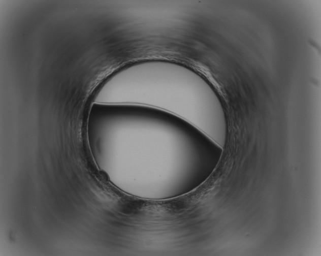 X0000092020299200709061335