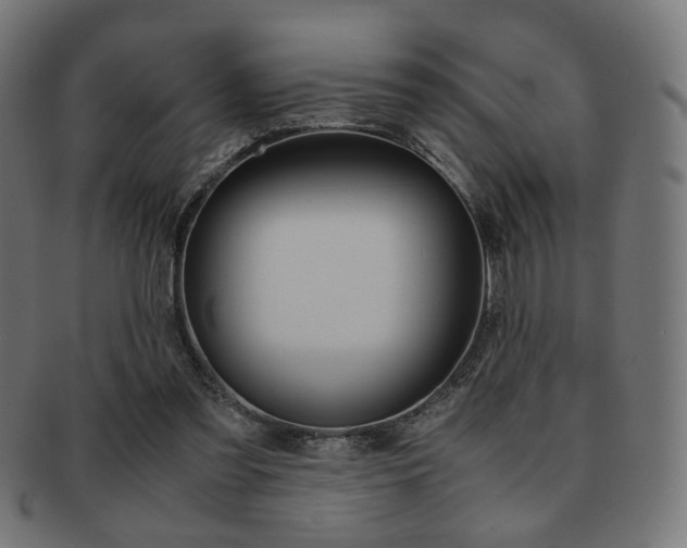 X0000092020301200709061335