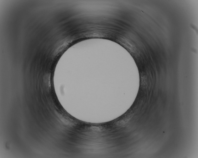 X0000092020302200709061335