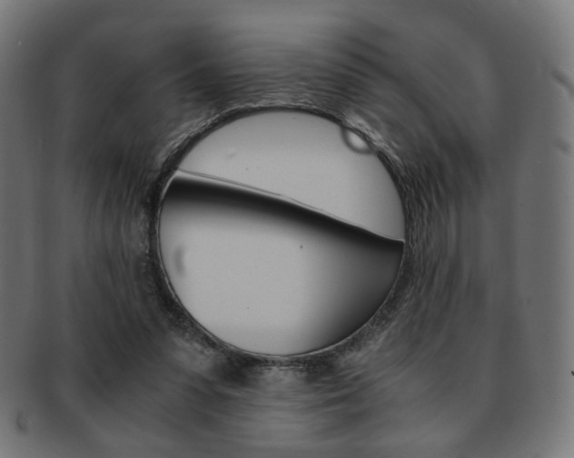 X0000092020303200709061335