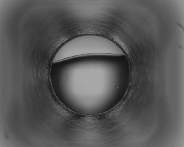 X0000092020305200709061335
