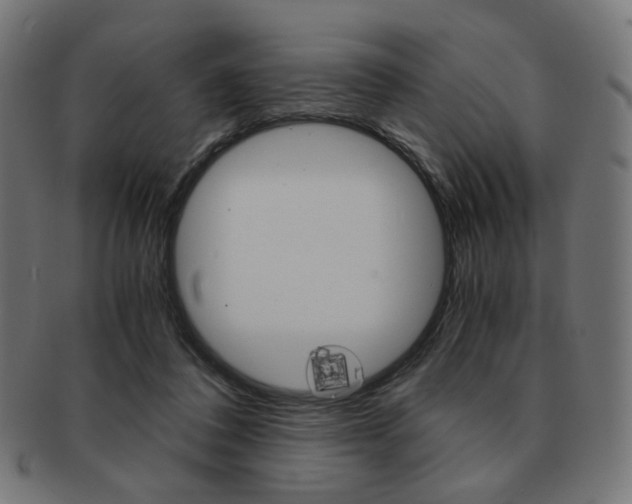 X0000092020308200709061335