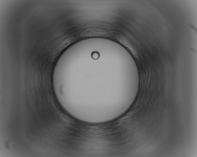 X0000092020309200709061335