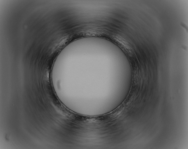 X0000092020310200709061335