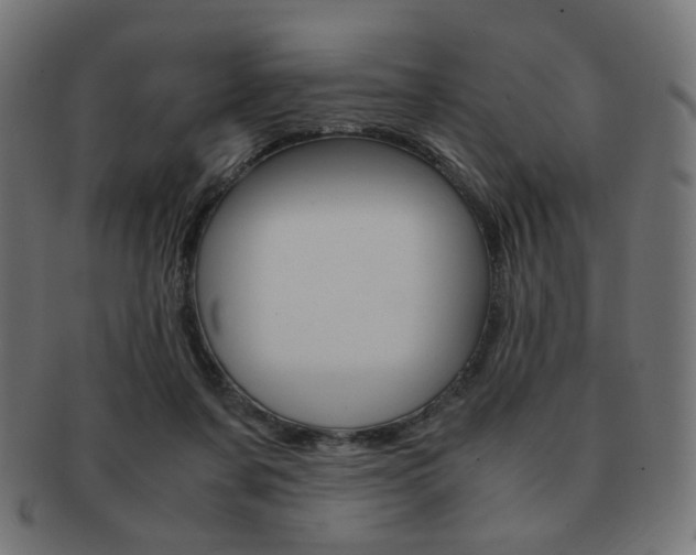 X0000092020311200709061335