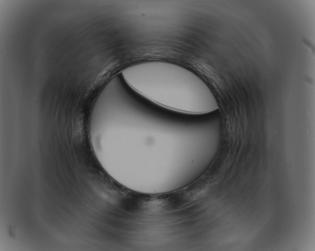 X0000092020312200709061335