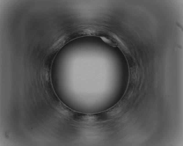 X0000092020313200709061335
