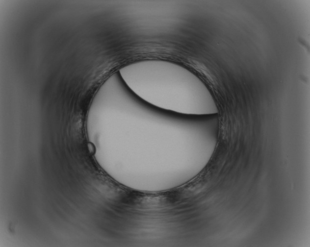 X0000092020314200709061335
