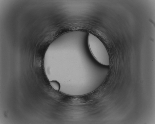 X0000092020315200709061335