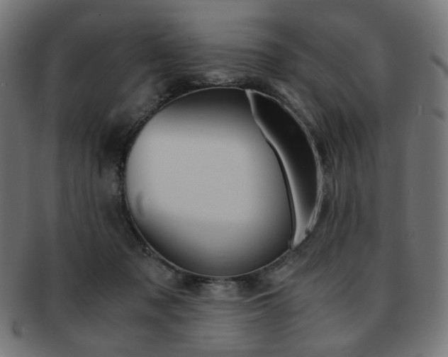 X0000092020317200709061335
