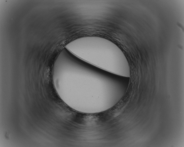 X0000092020319200709061335