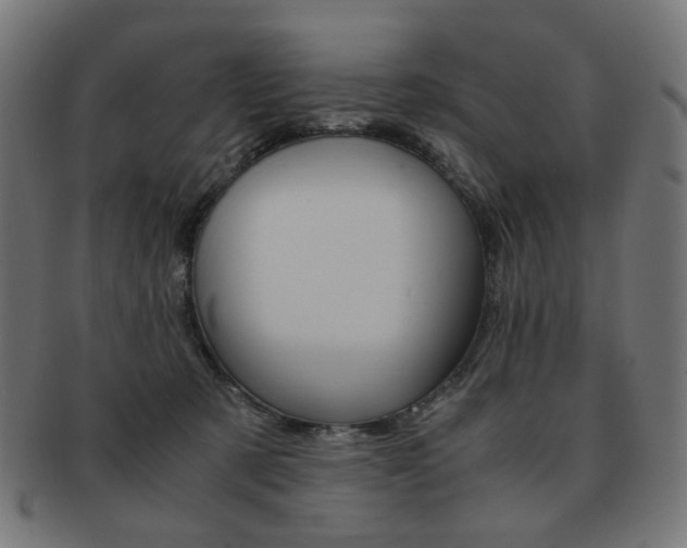 X0000092020321200709061335